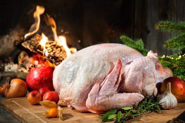 Thanksgiving Turkey